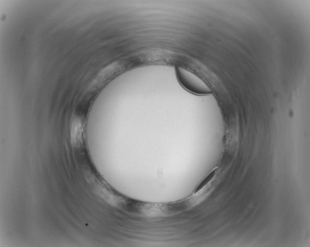 X0000081570142200701291224