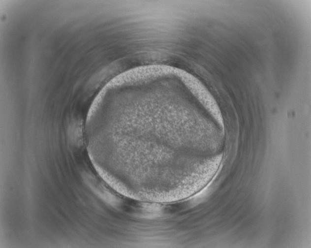 X0000081570144200701291224