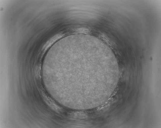 X0000081570146200701291223