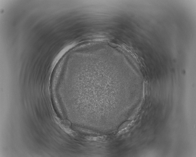 X0000081570147200701291223