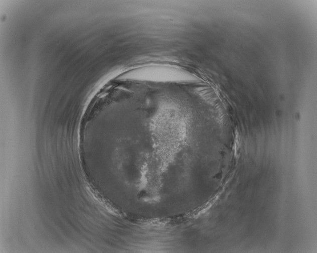 X0000081570148200701291223