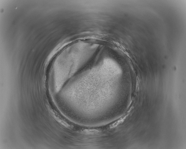 X0000081570150200701291223