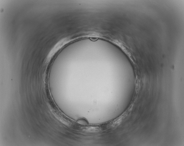 X0000081570151200701291223