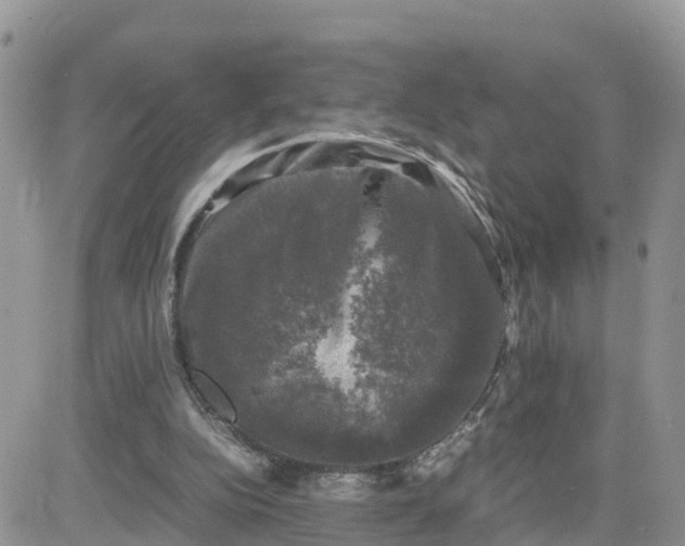 X0000081570152200701291223