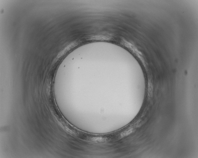 X0000081570153200701291223