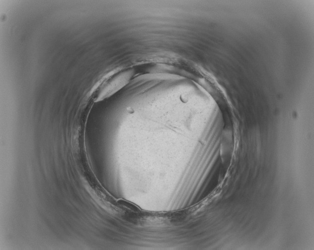 X0000081570154200701291223