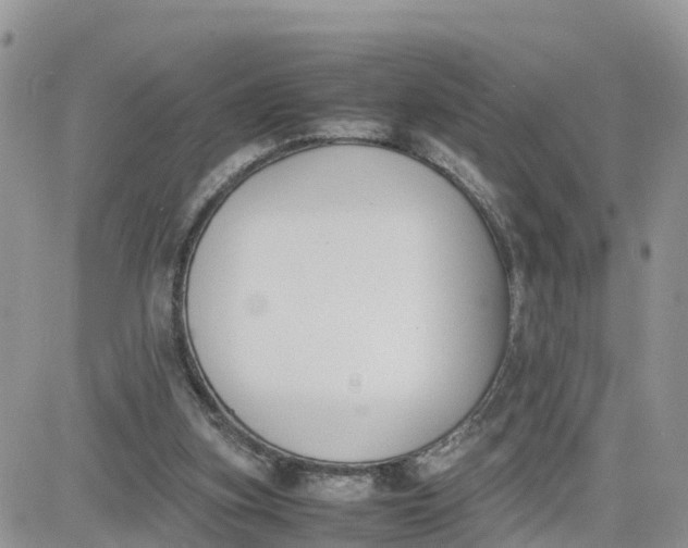 X0000081570155200701291223