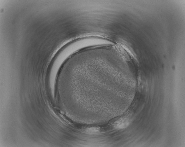 X0000081570156200701291223