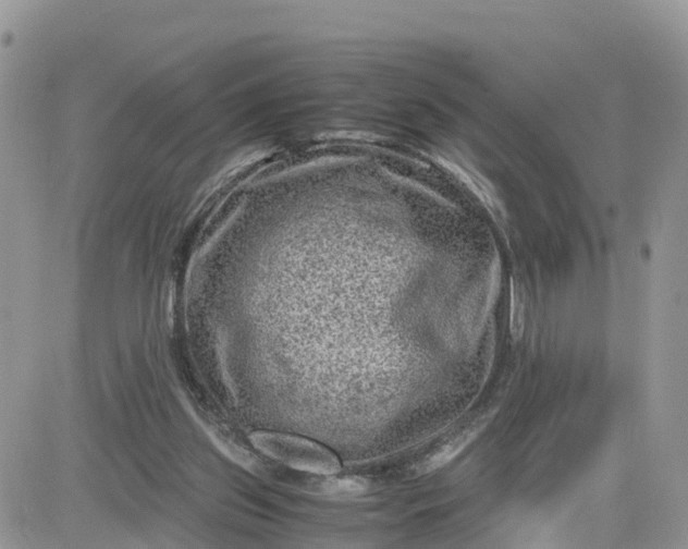 X0000081570157200701291223