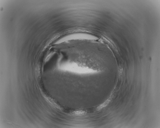 X0000081570158200701291223