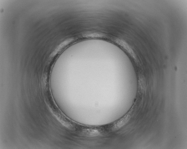 X0000081570159200701291224