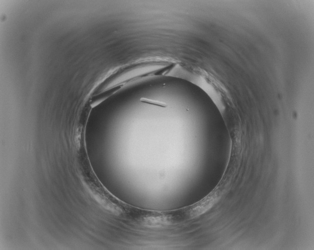 X0000081570160200701291224