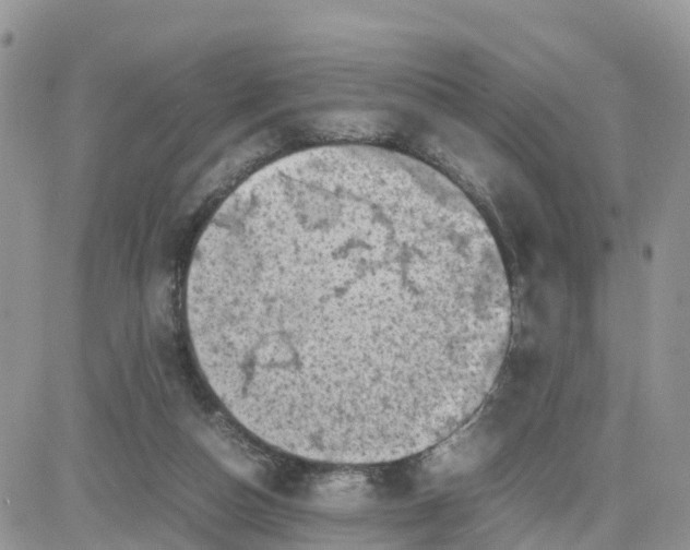 X0000081570162200701291224