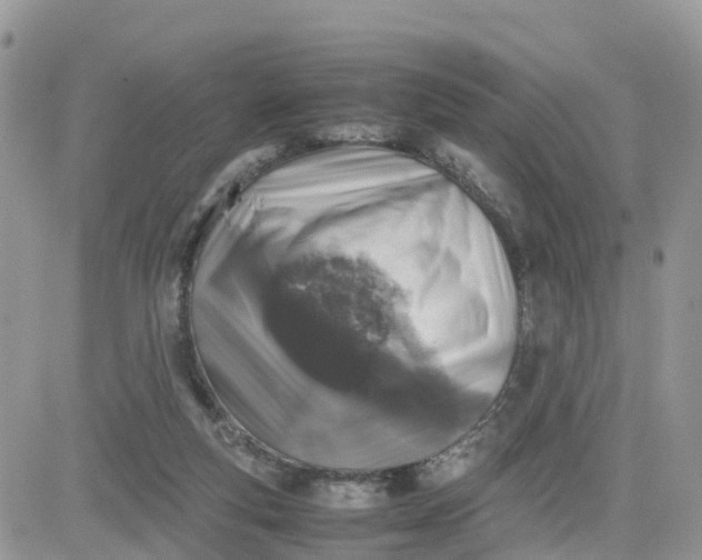 X0000081570163200701291224