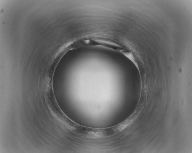 X0000081570164200701291224