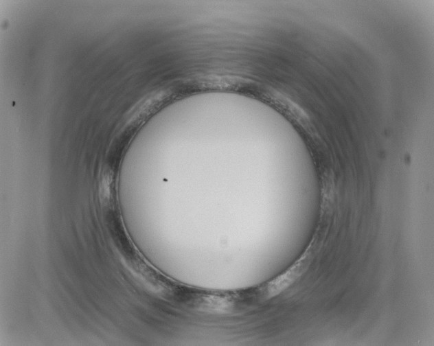 X0000081570166200701291224