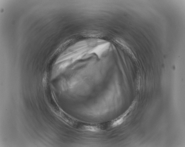 X0000081570167200701291224