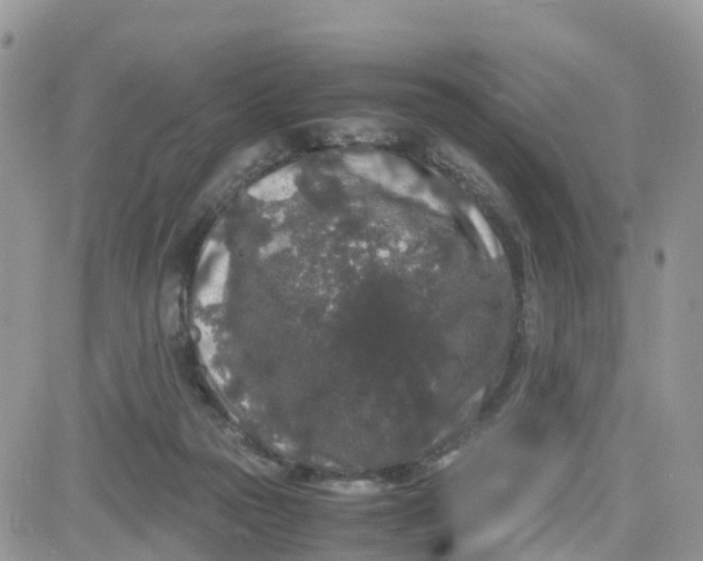 X0000081570169200701291224