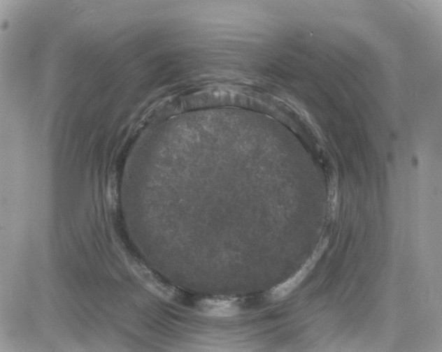 X0000081570170200701291224