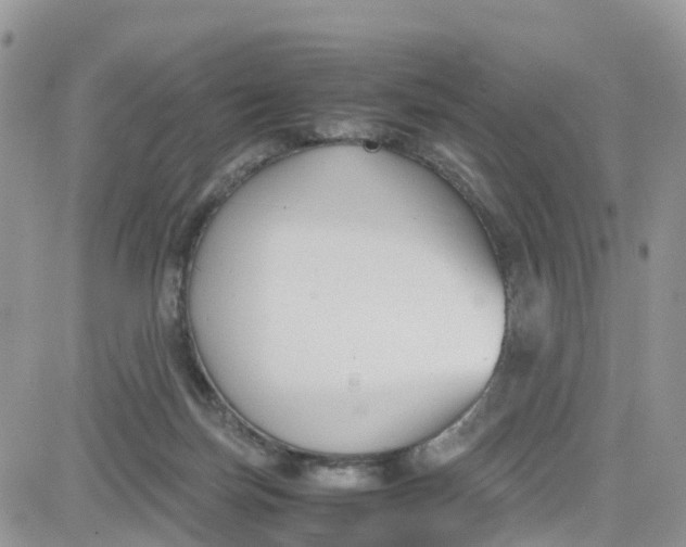 X0000081570171200701291224