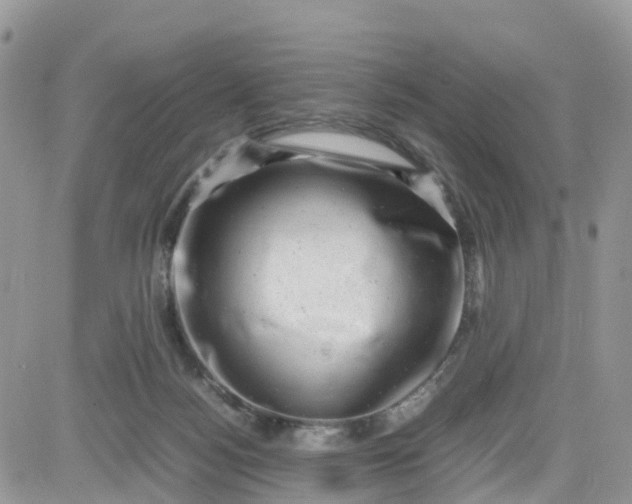 X0000081570172200701291224