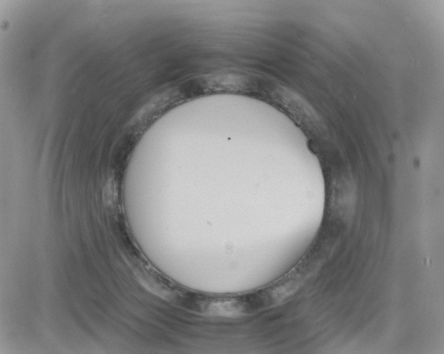 X0000081570173200701291224