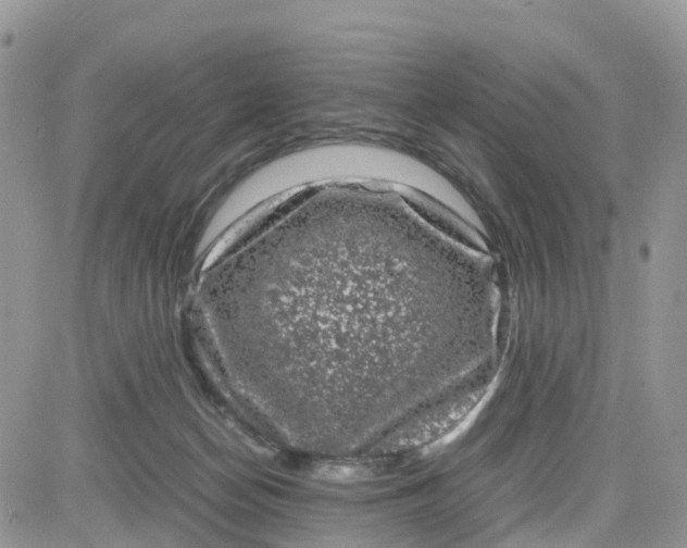 X0000081570174200701291224