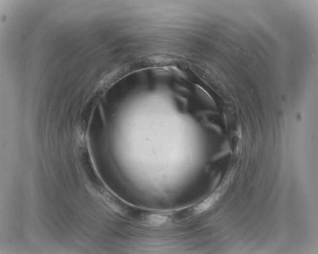 X0000081570176200701291224