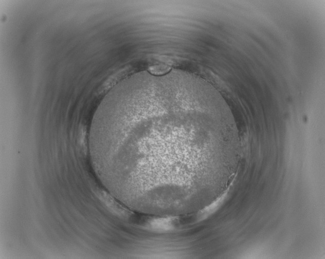 X0000081570178200701291224