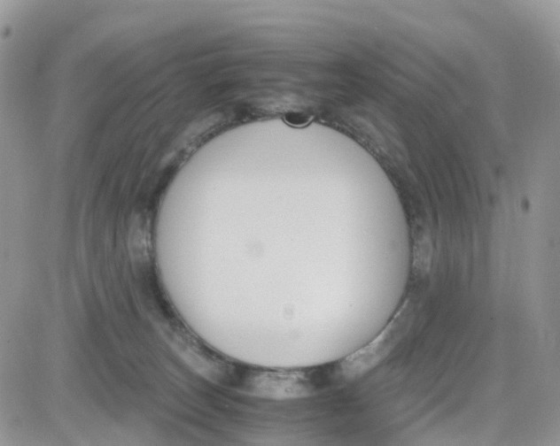 X0000081570179200701291224