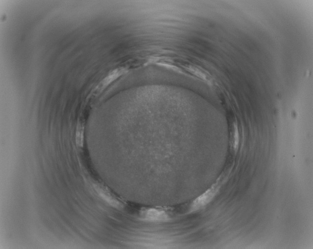 X0000081570180200701291224