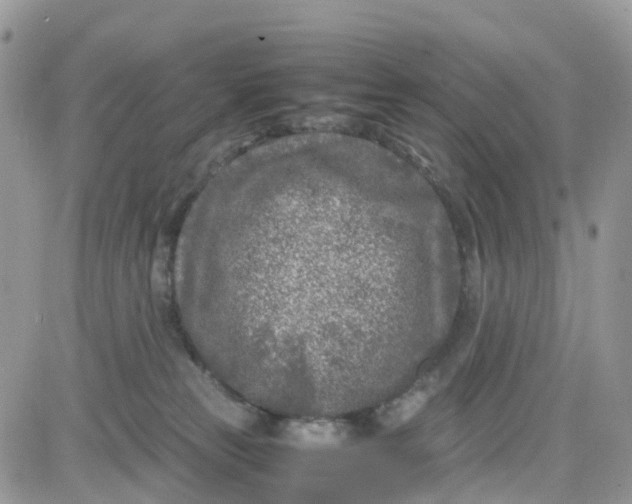 X0000081570181200701291224