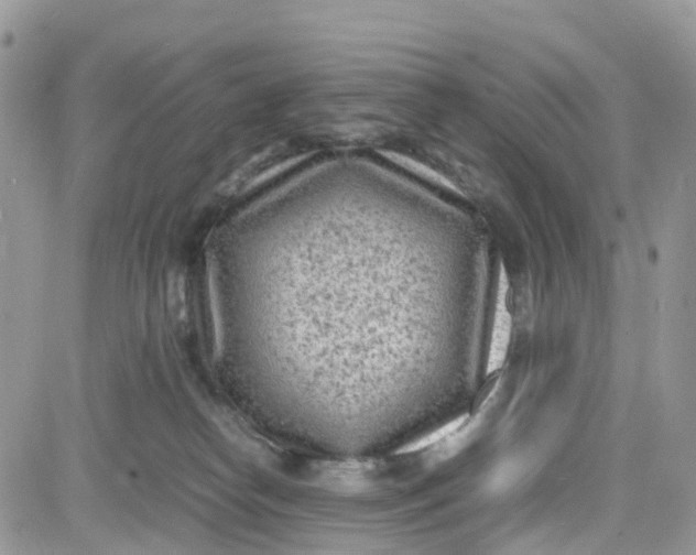 X0000081570182200701291224