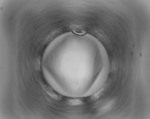 X0000081570183200701291224