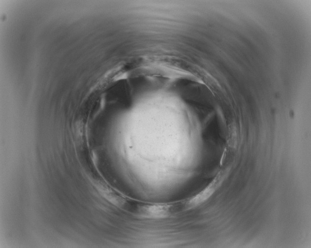 X0000081570184200701291224