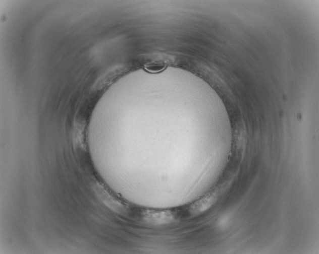 X0000081570185200701291224