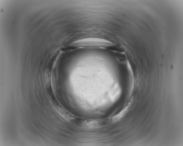 X0000081570186200701291224