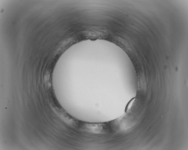 X0000081570187200701291224