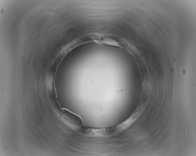 X0000081570188200701291224