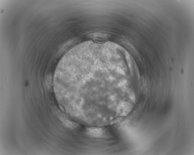 X0000081570189200701291224