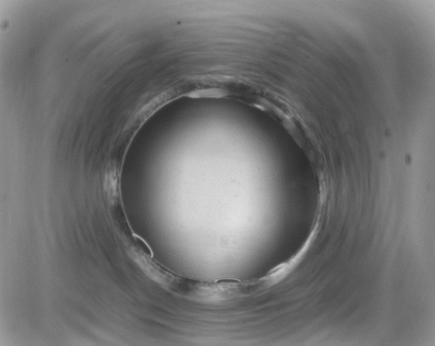 X0000081570190200701291224