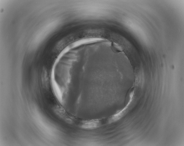 X0000081570191200701291224