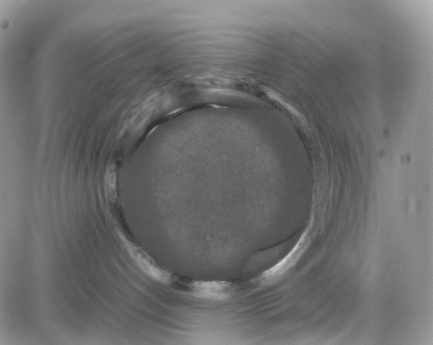 X0000081570192200701291224