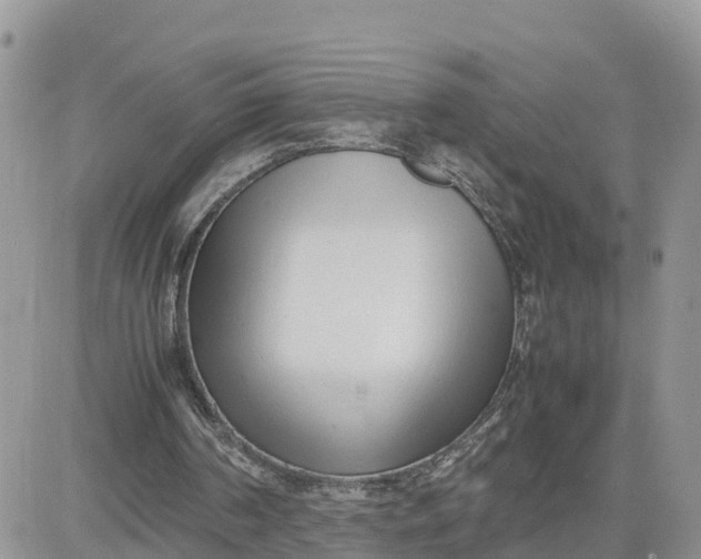 X0000081570194200701291223