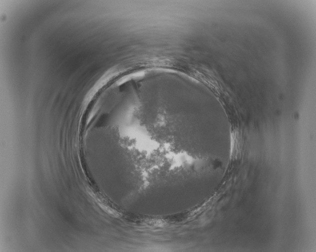 X0000081570195200701291223