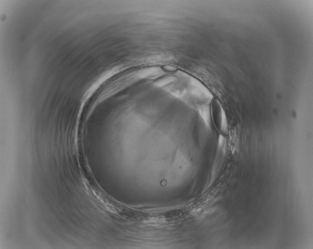 X0000081570196200701291223