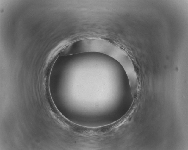 X0000081570197200701291223