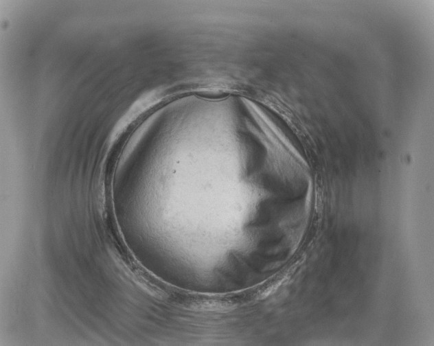 X0000081570198200701291223