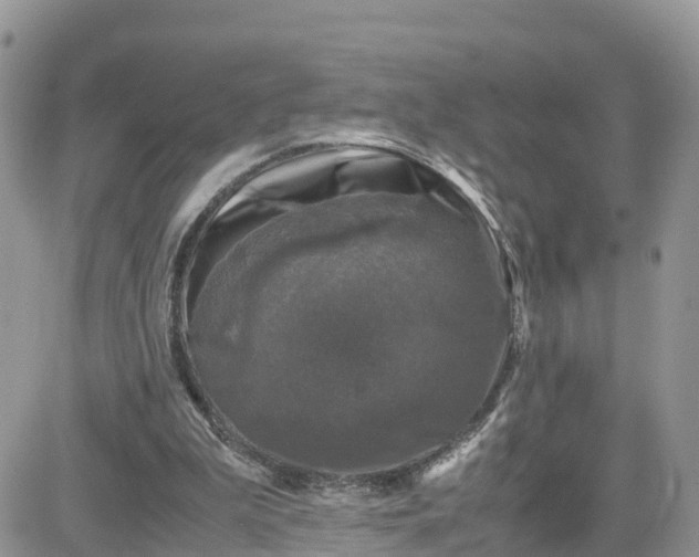 X0000081570199200701291223