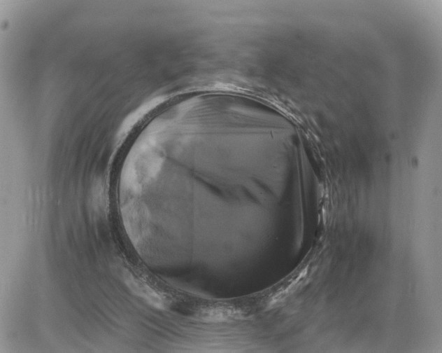 X0000081570200200701291223